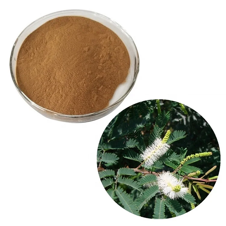 Usine En Gros 10:1 100% Naturel D'extrait D'écorce De Racine de Mimosa Pudica Tenuiflora Hostilis Extrait Poudre