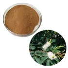 Factory Wholesale 100% Natural Mimosa Tenuiflora Hostilis Root Bark Extract Powder