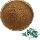 Organic Eucalyptus Extract Powder/3%rutin Eucalyptus Leaf Extract