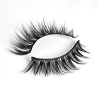 Eyelash 5 Pack False Mink Eyelashes Faux Mink Eyelashes Vendor