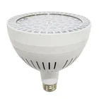 Wholesale ETL CE RoHS led spotlight Jewelry lighting 277v e26 60w 6500k led par38 par30 bulb light