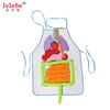 lelebe 2019 wholesale manufacturer plush human organs Preschool education aids with educational games study children toy