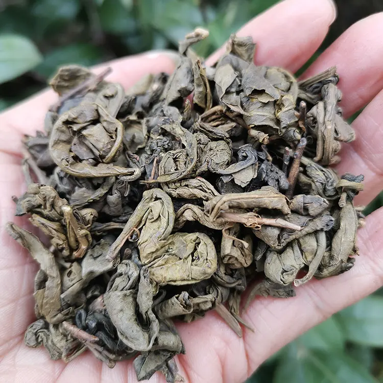 Hot sale gift packing organic health leaves tea gunpowder green tea