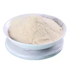Protein Powder Hot Sale Healthy Bovine Lyophilized Collagen Drink Protein Hydrolysed Peptides Powder