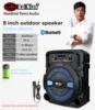 Manufacturing 8"Portable Active Speaker Sound System with Built in Rechargeable Battery FM Radio USB SD Slot DC12V REC