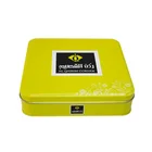 Custom Hinged Candy Mint Gift Biscuit Cookie Metal Tin Case Box With Lid