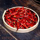 HACCP Chili Wholesale Dried Red Chili Pepper for Restaurant