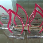 Cheap promotional custom plastic transparent crystal craft award acrylic medals crafts