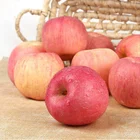 Apple Fruit Apple Export Grade 2020 New Crop Fresh Red Fuji Apple Fruit Honeycrisp