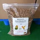 Dried Mealworms/High protein dried meal worm
