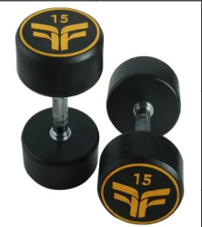 2022 New arrival Commercial Fitness Accessories/Gym accessories ASJ-P017 Dumbbell