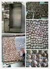 AIM Cabinet Heat Pump Dryer 125kg 1.5kW/h agricultural Shiitake Mushroom Drying Machine Agari Vegetable dehydrator