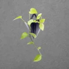 Flower Pots Innovative Design High Technology Carbon Fiber Flower Plant Pots Wall Hanging Home Garden