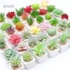 /product-detail/indoor-succulent-wall-set-tabletop-artificial-succulent-plants-picks-cactus-62121115596.html