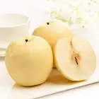 Pear Pear Wholesale Snow Pear Fruit Exporter From China Snow Pear With Good Price Delicious Fresh Snow Pear