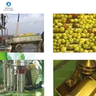 Vegetable Fruit Machine Stainless Steel Apple Pear Mango Vegetable Cleaning Processing Fruit Washing Machine