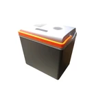 30l Mini Fridge 30l Fridge 30l EVERCOOL 30L Mini Car Refrigerator Thermoelectric Cooler Warmer Fridge