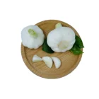 cheap price standard garlic fresh white garlic