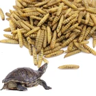 Dried black soldier fly mealworms for bird and aquarium fish and turtle food