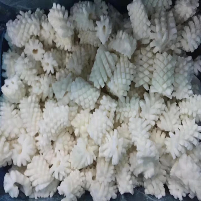 squid flower 4.jpg