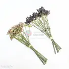 Beautiful Artificial Flower/Simulation Flower for Home Decoration