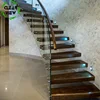 /product-detail/cleaview-furnishing-straight-steel-wood-indoor-floating-tempered-glass-stairs-62271809154.html