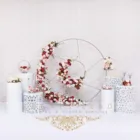 Hot Sale Wedding Setup IRIS Collection Wedding Furniture Silver Backdrop