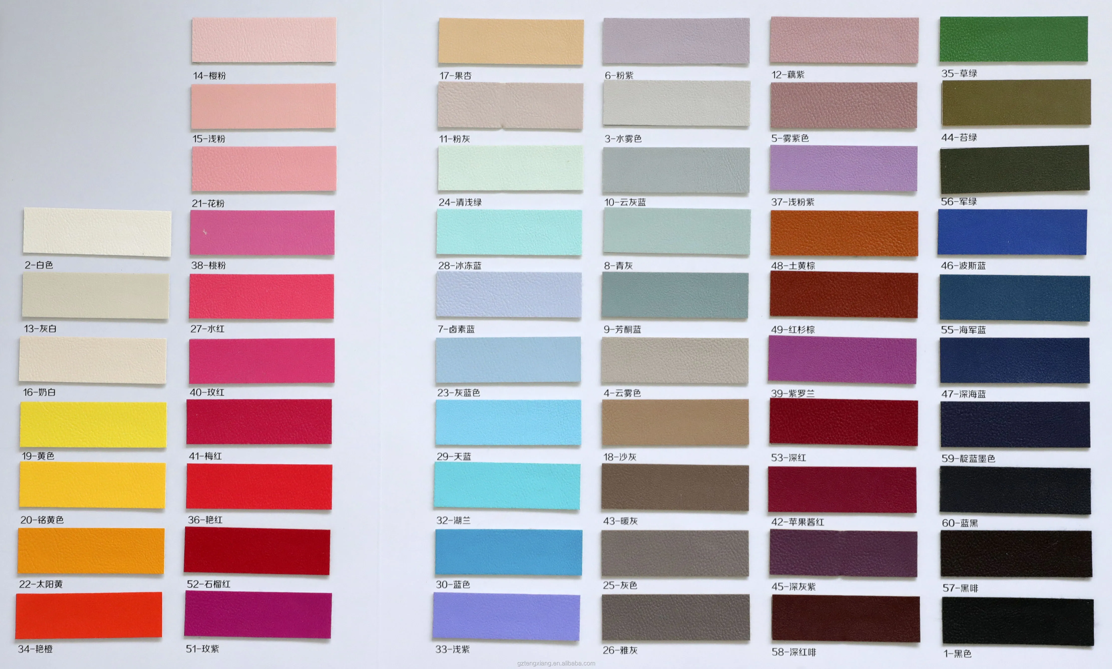 TX8020 COLOR CARD.jpg
