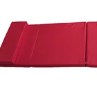 Cheerleading Easy Flex Rolled Up Folding Gymnastics Mats Cheerleading Mats for Sale