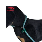factory direct pet products durable rope dog leash design pet dog leash wholesale