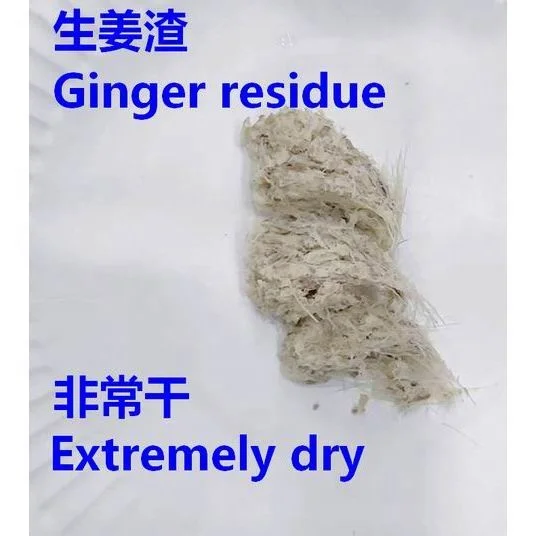 Ginger juicer.jpg