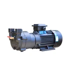 Water Ring Vacuum Pump for Vacuum Packaging in Plastic Absorption Molding Equipment