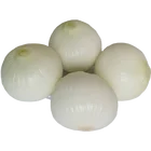 Hot sale peeled yellow onion with high quality