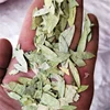Fan xie ye Chinese natural dried herb senna slimming tea