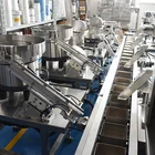 Small particles Vibration plate screw / small parts counting packaging machine