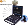 /product-detail/outstanding-image-color-doppler-vet-ultrasound-trade-assurance-medical-equipment-diagnostic-ultrasound-62421655233.html