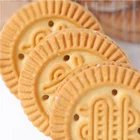 Chocolate and Coconut Flavour Cream Filling Sandwich Biscuit Cookie Manufacturer (80gr)