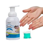 Hand Coconut Fragrance Gentle Skin Care Moisturizing High Foam Wash Hand
