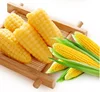 /product-detail/corn-shaped-gummy-candy-62428224247.html