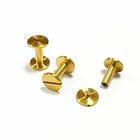 Flat Head Slotted Book Binding Gold Chicago Screws
