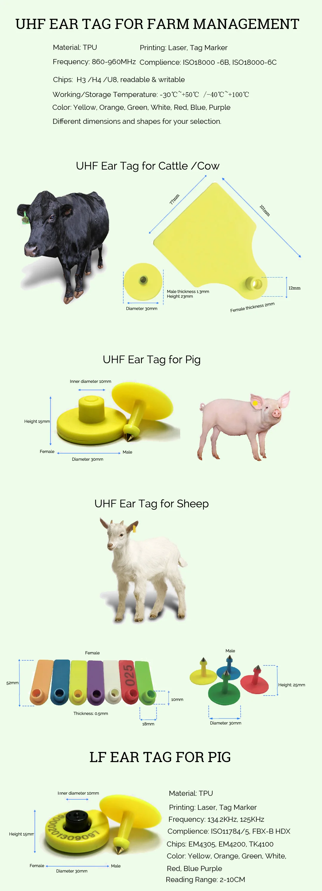 ear-tag-text-page_02.jpg
