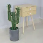 Green cactus plant bonsai artificial indoor artificial plant
