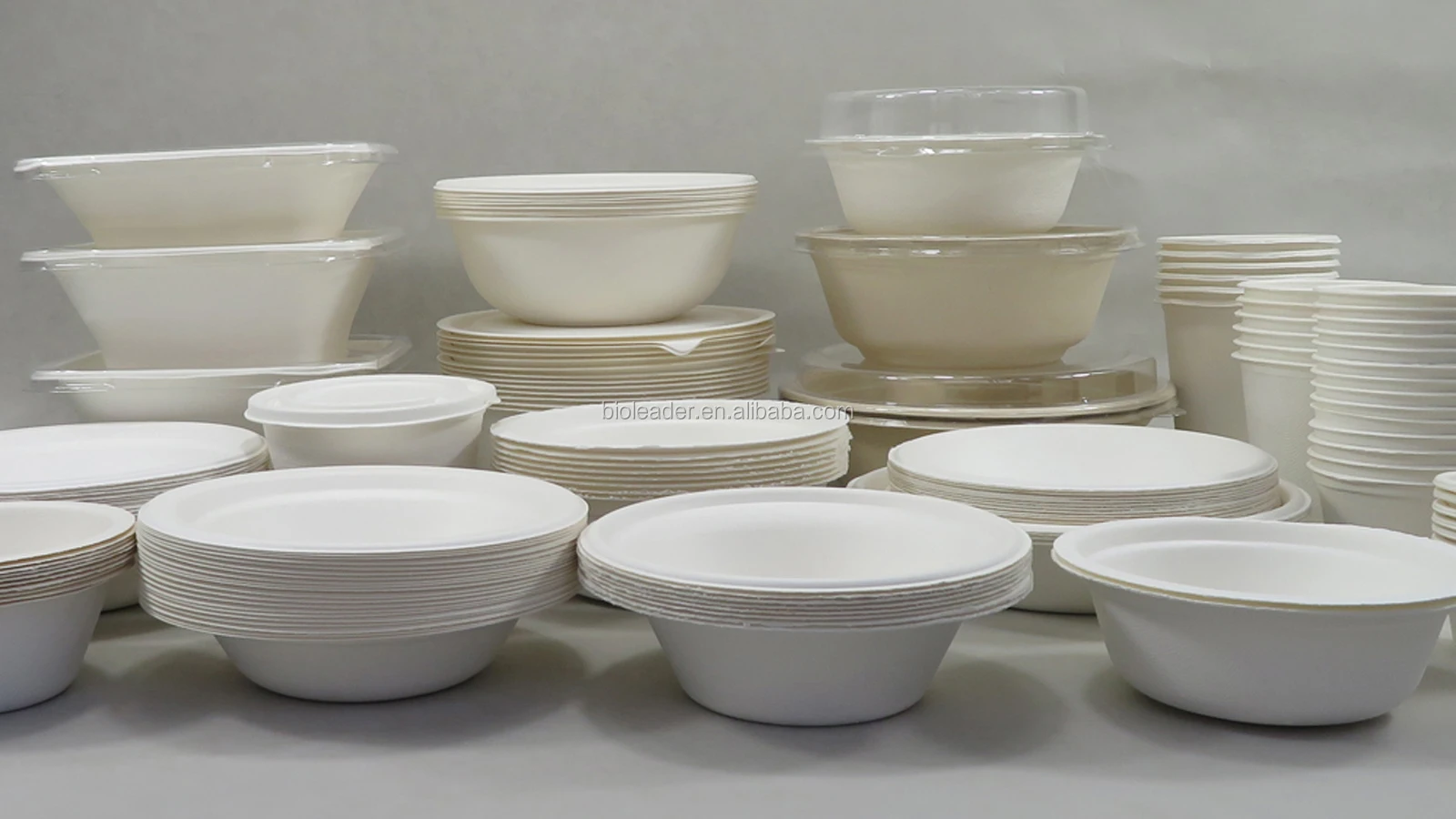 No Pfas Free Biodegradable Disposable Sugarcane Bagasse Soup Salad Bowl