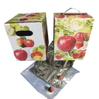 Water liquid carton 10l 20l cubitainer wine juice packaging paper bag in box with handle
