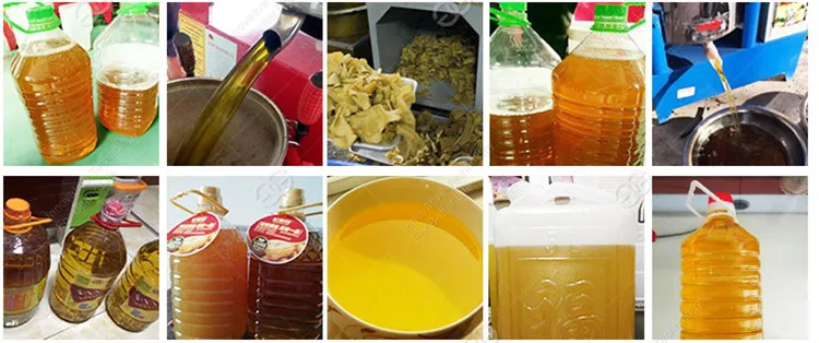 Automatic Best Sale Palm Oil Sunflower Oil Processing Cold Oil Press Machine
