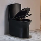 Siphon Flushing ZP2103 Modern Bathroom Black 1 Piece Sanitary Ware Toilet