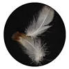Wholesale supplier cheap price washed 2~4cm grey duck feather material for duvet,EN 12934