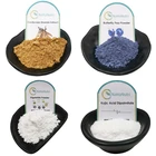 Nahanutri supply High quality Noni juice powder price