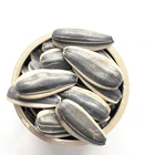 hybrid sunflower seed,sunflower seeds for human consumption,peeled sunflower seeds.