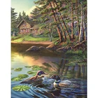 AB/Bright Diamond Embroidery Oil Painting Landscape Cabin Duck Handmade Cross Embroidery Gift 5D DIY Diamond Painting